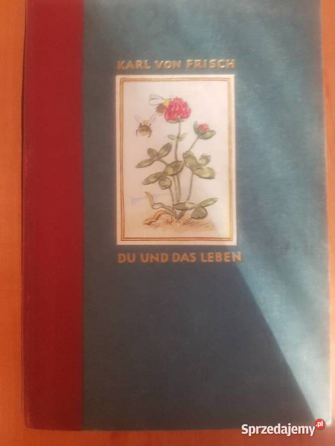 Stara niemiecka książka serdecznie Katowice