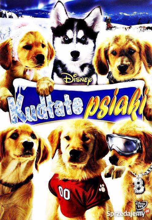 KUDŁATE PSIAKI DISNEY pełne wielkopolskie Kalisz