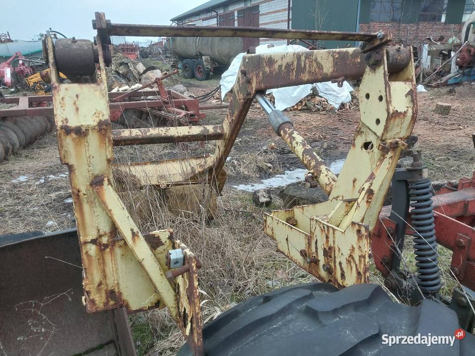 Turładowacz czołowy Pozostałe Piotrków Trybunalski