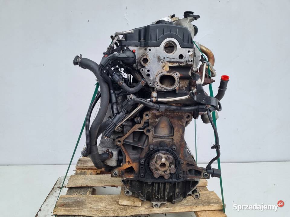 SILNIK KOMPLET VW Polo IV 19 TDI 101 0109r ATD lubelskie Rudka