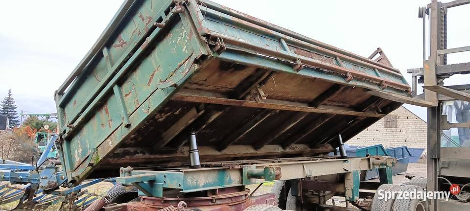 Bradystka BBS 5m24m Panaw Kutno