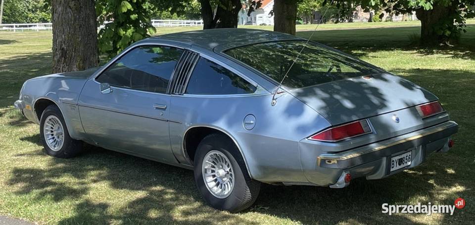 Chevrolet Monza 22 1976 Opole Lubelskie