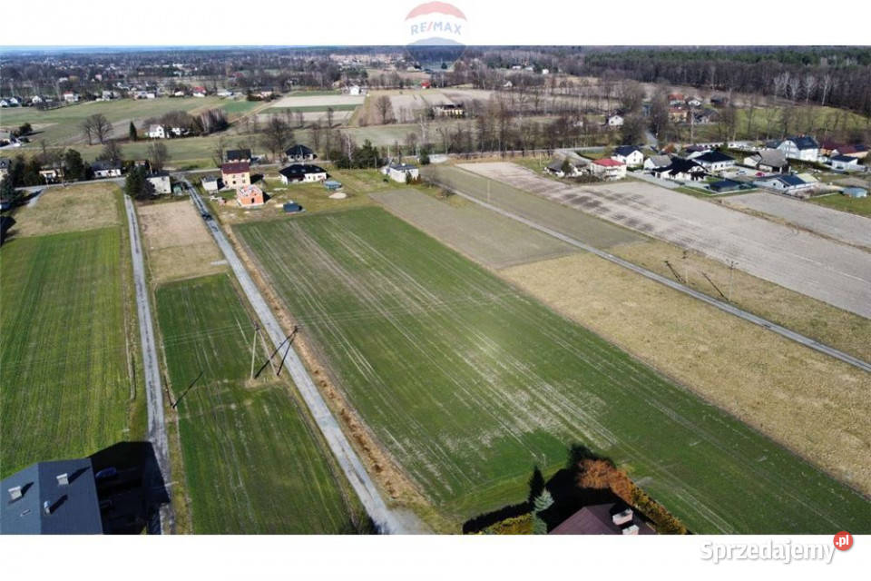 Działka budowlana w Zaborzu śląskie Zaborze