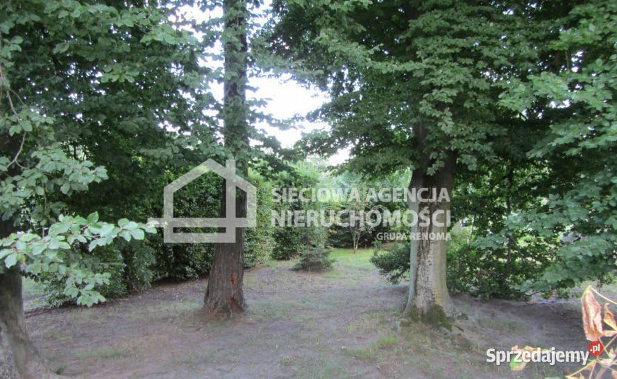 Dom wolnostojący Tleń 350m2 kujawsko-pomorskie