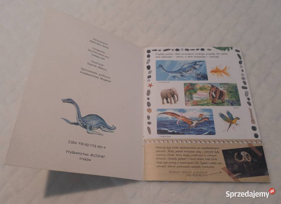 Dinozaury i prehistoria Minialbum z naklejkami Książki dla dzieci śląskie Czeladź