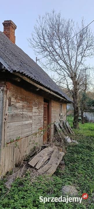 Siedlisko lubelskie Skomorochy Duże sprzedam