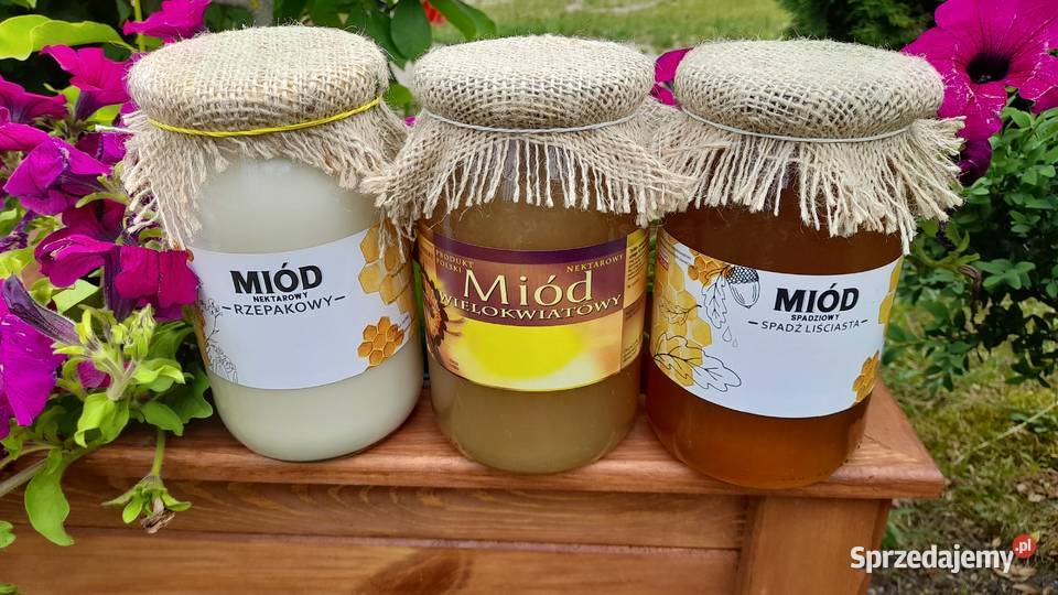 Miód Wielokwiatowy SPADZ LISCIASTA zbiór 2023 opolskie Sarny Małe