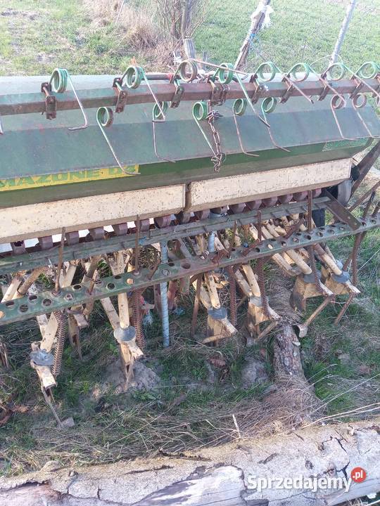 Prasa Korytnica