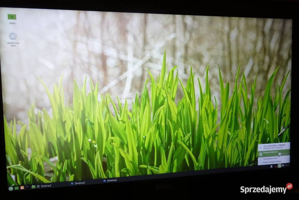 Matryca LTN156HL02001 Full HD do laptopów Szczecin sprzedam