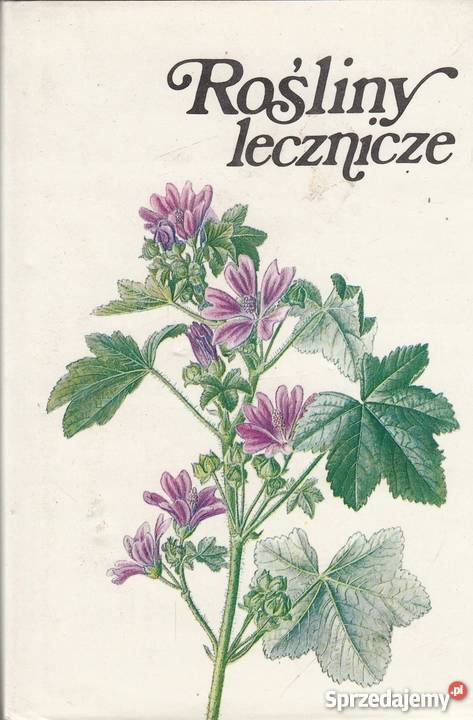 ROŚLINY LECZNICZE zdrowie, pierwsza pomoc lubuskie Zielona Góra sprzedam