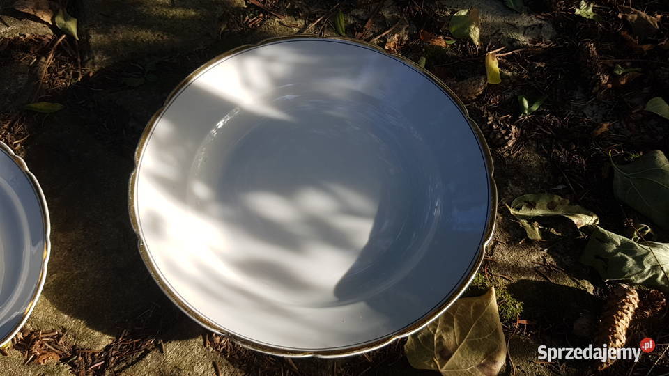 Ćmielów zestaw porcelanowy Antyki, Sztuka, Kolekcje śląskie Myszków