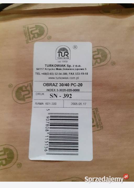 Obraz w drewnianej ramie Dom i młyn wodny Tczew