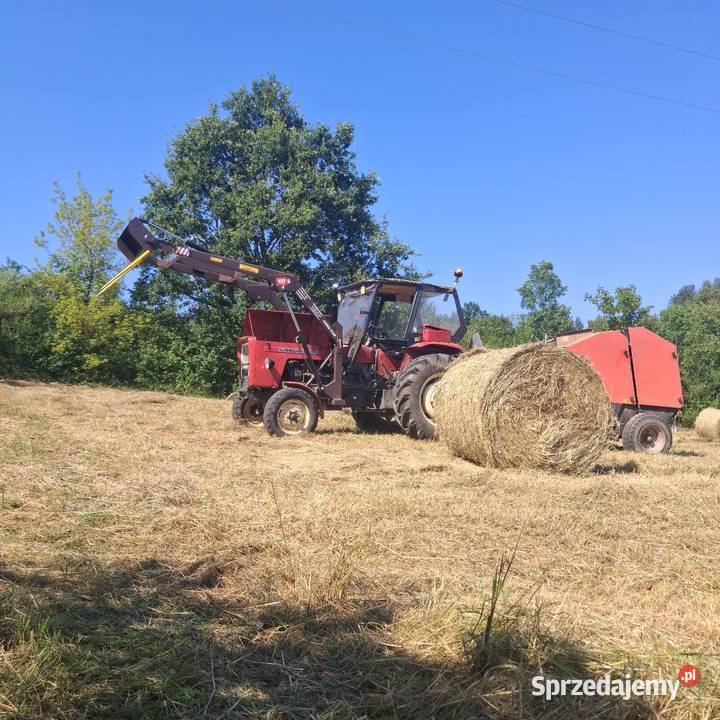Sprzedam bele siana 120x120 spod flizu Teodorówka