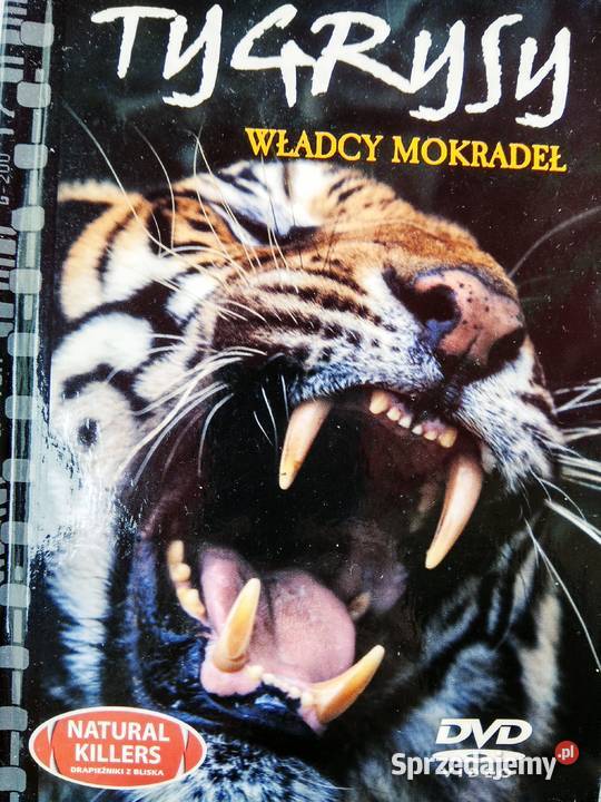 Tygrysy władcy mokradeł księgarnia muzyczna mazowieckie Warszawa