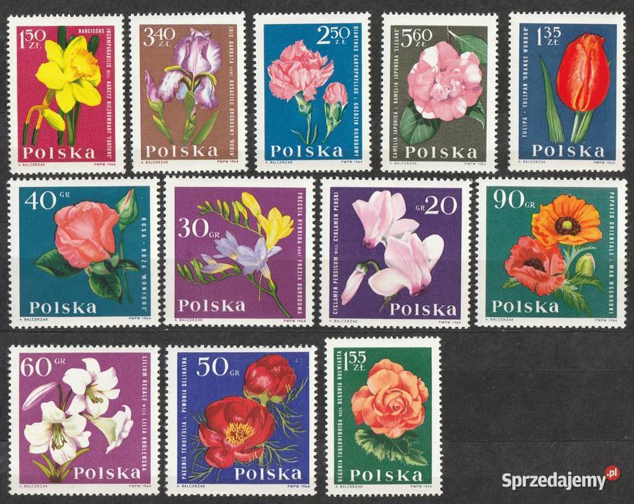 POLSKA KWIATY 1964 CZYSTE Łódź