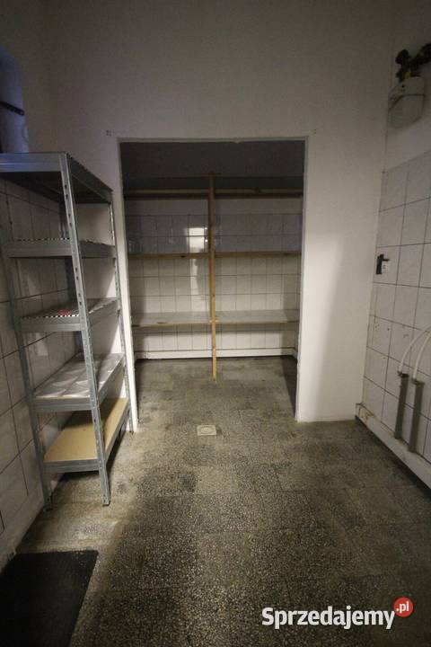 Lokal 132 metry Prusa Wrocław