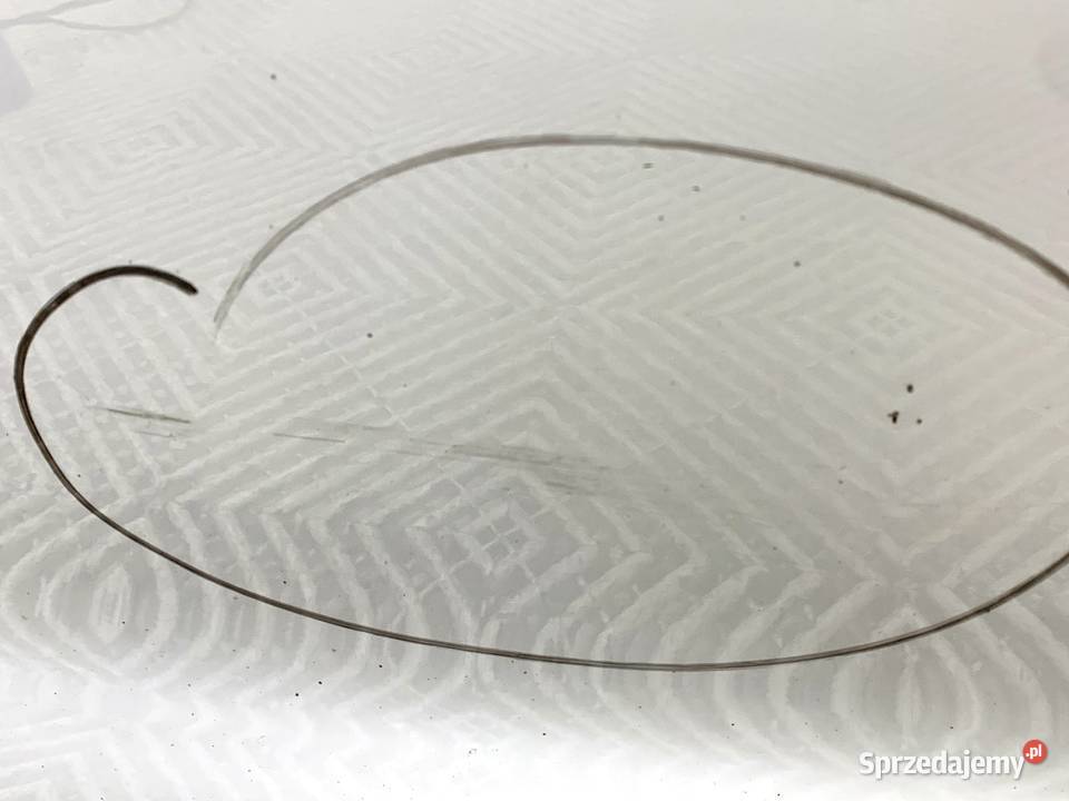 DRZWI LEWY TYŁ LC9A VW GOLF VII Hatchback Pure podkarpackie