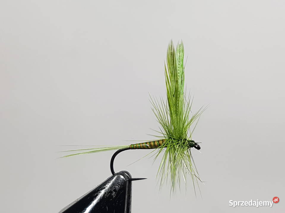 Sztuczne muchy suche jętki skrzydlate Wędkarstwo dolnośląskie Leśna