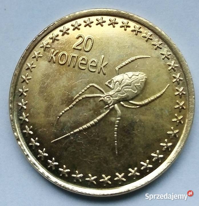 CZECZENIA20 KOPIEJEK2013 r PAJĄKŁADNA3 Legionowo sprzedam