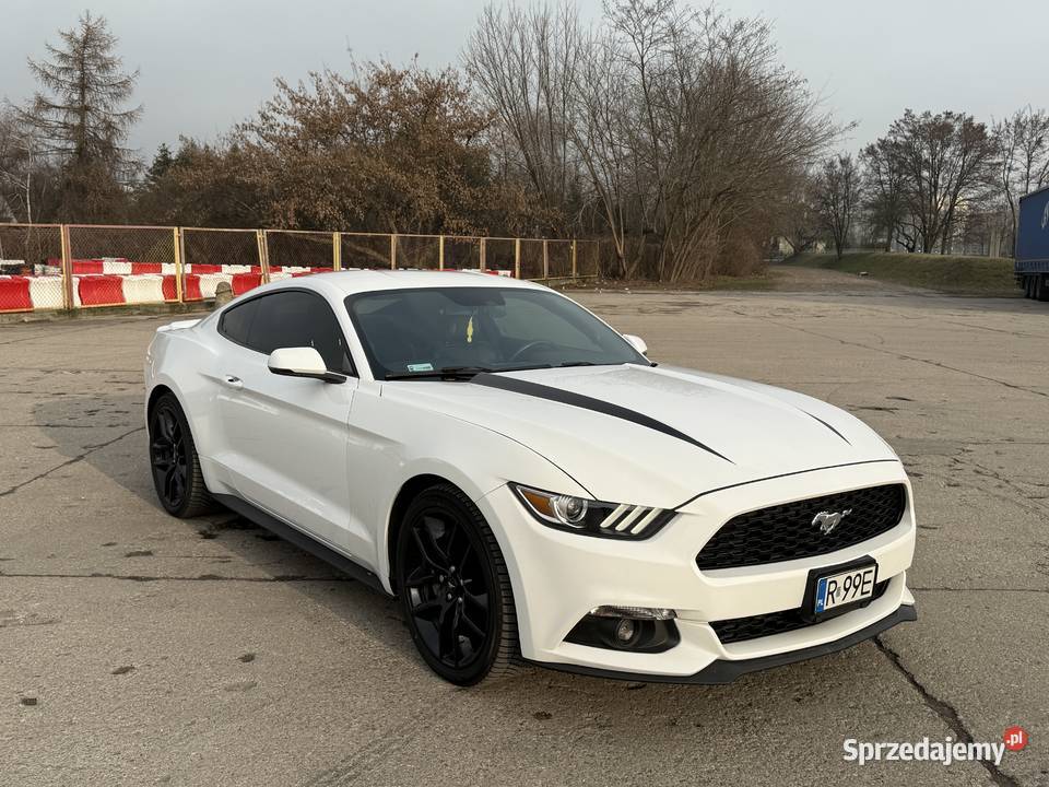 Ford Mustang 23EB 372hp premium performance nieuszkodzony Mińsk Mazowiecki sprzedam