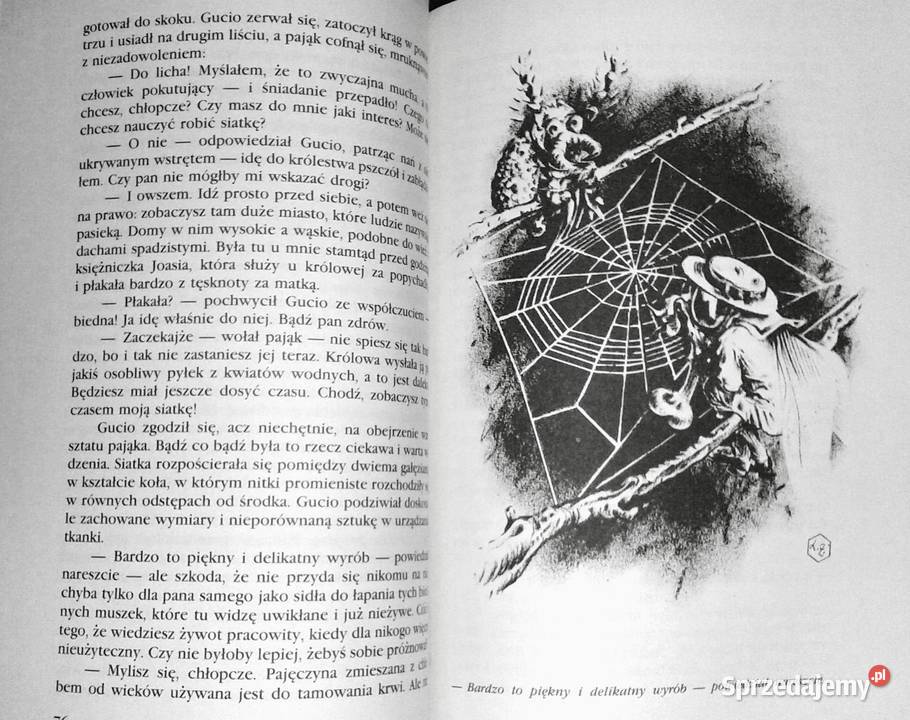 Gucio zaczarowany Zofia Urbanowska Rok wydania 1989 Chełm