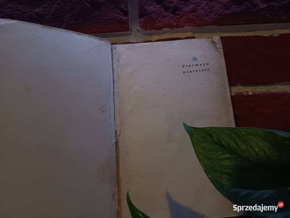 Powieść Wojenna Pierwsze pistolety Jerzy kujawsko-pomorskie Bydgoszcz