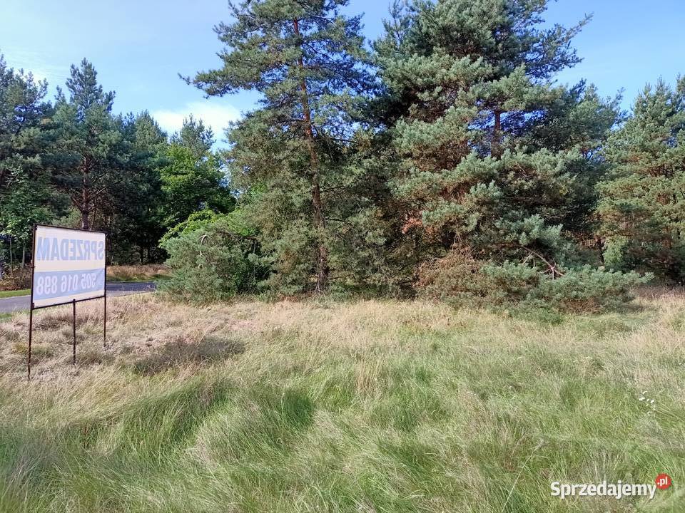 Działka Świbinki rolna z warunkami zabudowy