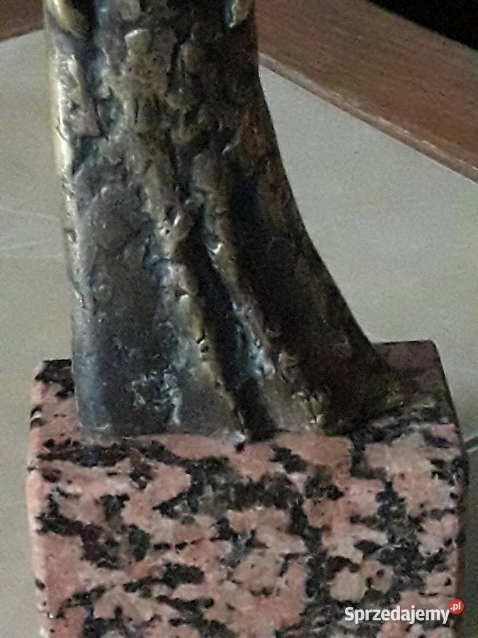 Rzeżba brąz Maciej Syrek Janów Lubelski