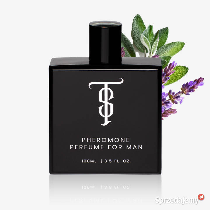 Sklep internetowy z perfumami gotowy biznes mazowieckie