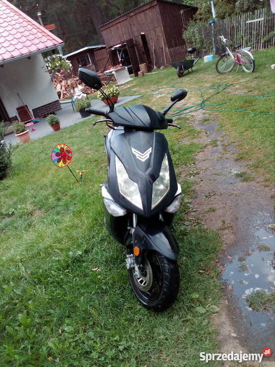 Zumico Avatar wielkopolskie