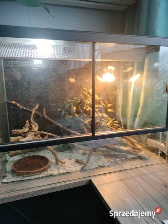 Sprzedam terrarium szklane Rybnik