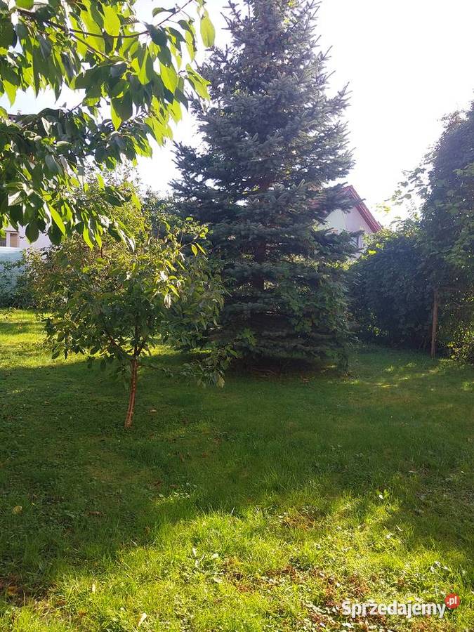 Przytulny energooszczedny dom w Bartoszycach strych Sprzedaż Bartoszyce sprzedam