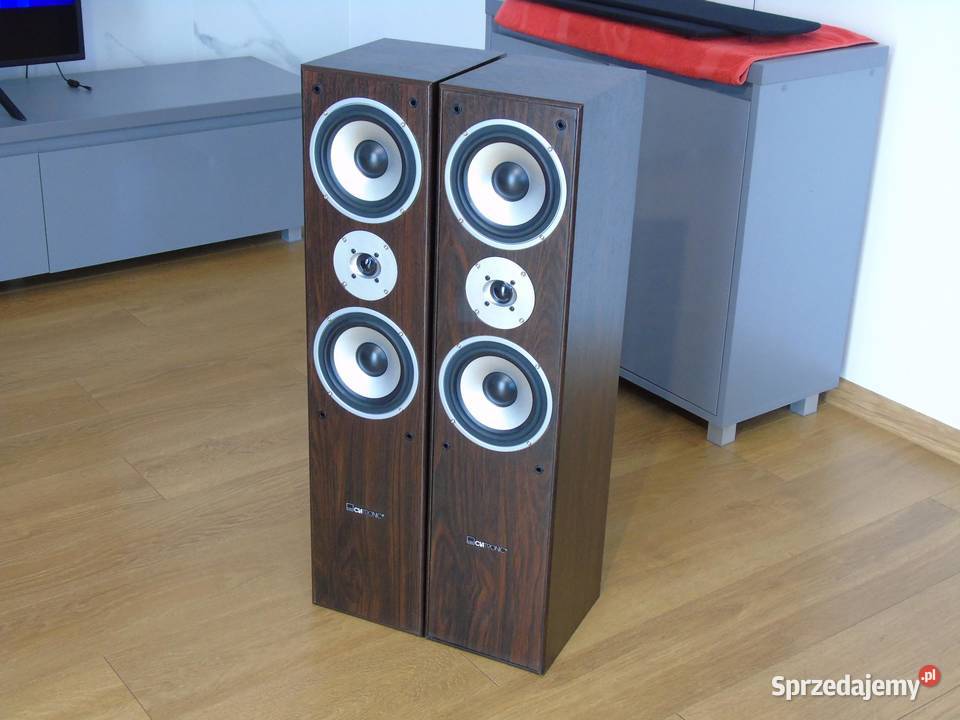Ładne kolumny audio 2x 440 wat. DOSTAWA
