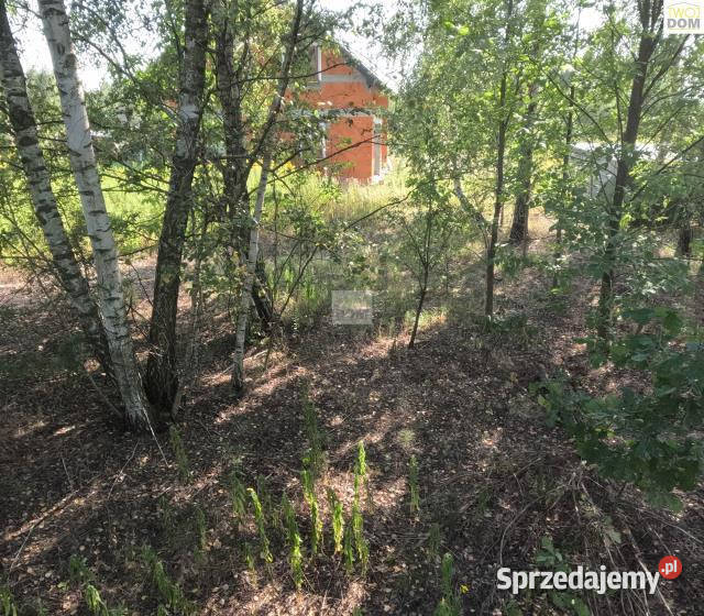 Sprzedam grunt Stare Grabie 1100m2