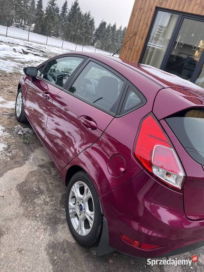 Ford Fiesta MK7 2013 1242cm3 opolskie Dobrodzień