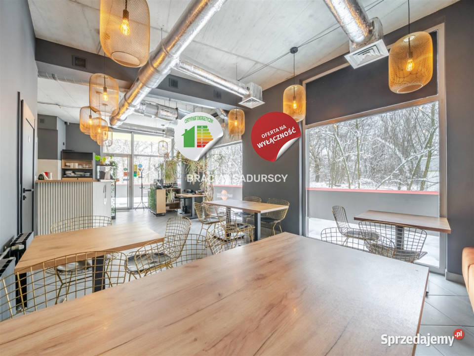 wynajmu lokalu 75m2 Kraków Borkowska