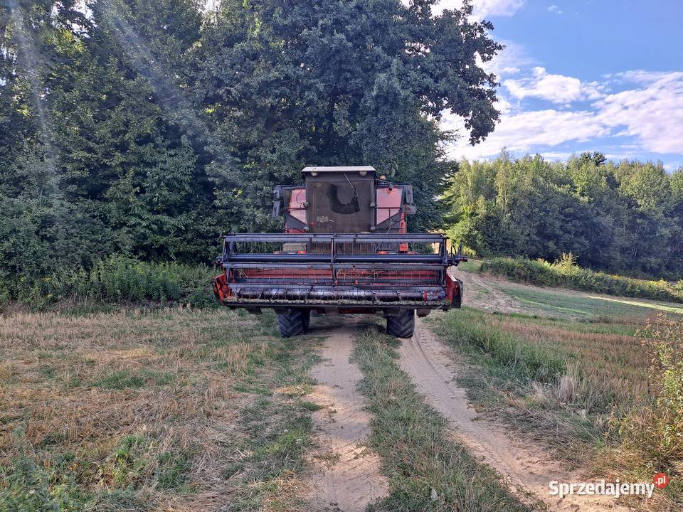Bizon bs z110 rekord z056 claas Słodków Drugi sprzedam