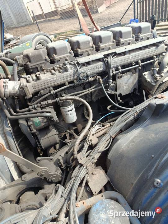 Scania 380 lubelskie Chełm