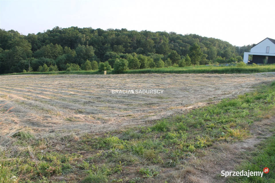 Do sprzedaży grunt 500m2 Libertów Południowa 1300zł/m2 Nieruchomości małopolskie