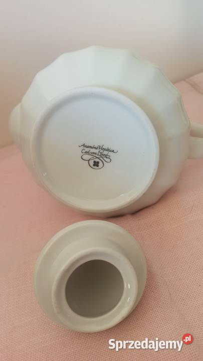 Biały dzbanek z przylaszczką Anemone Hepatica pomorskie Gdańsk