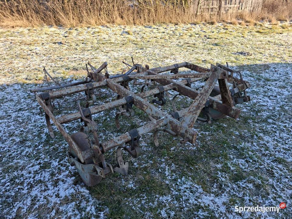 Sprężynówka z bronkami lubelskie Gułów