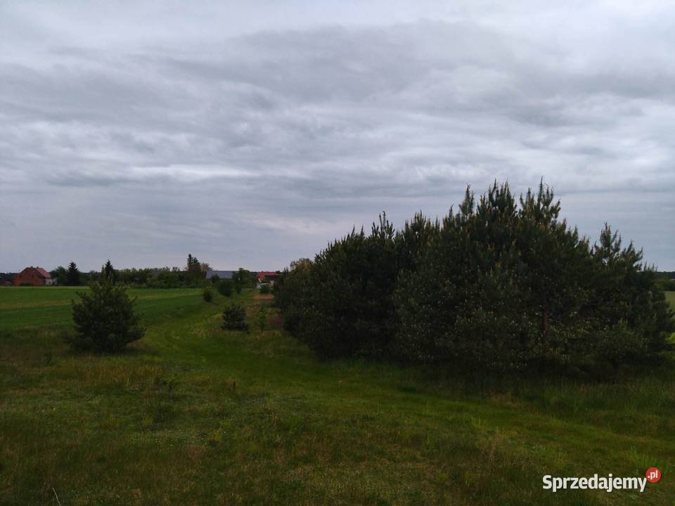 Działka budowlana Świerczyna
