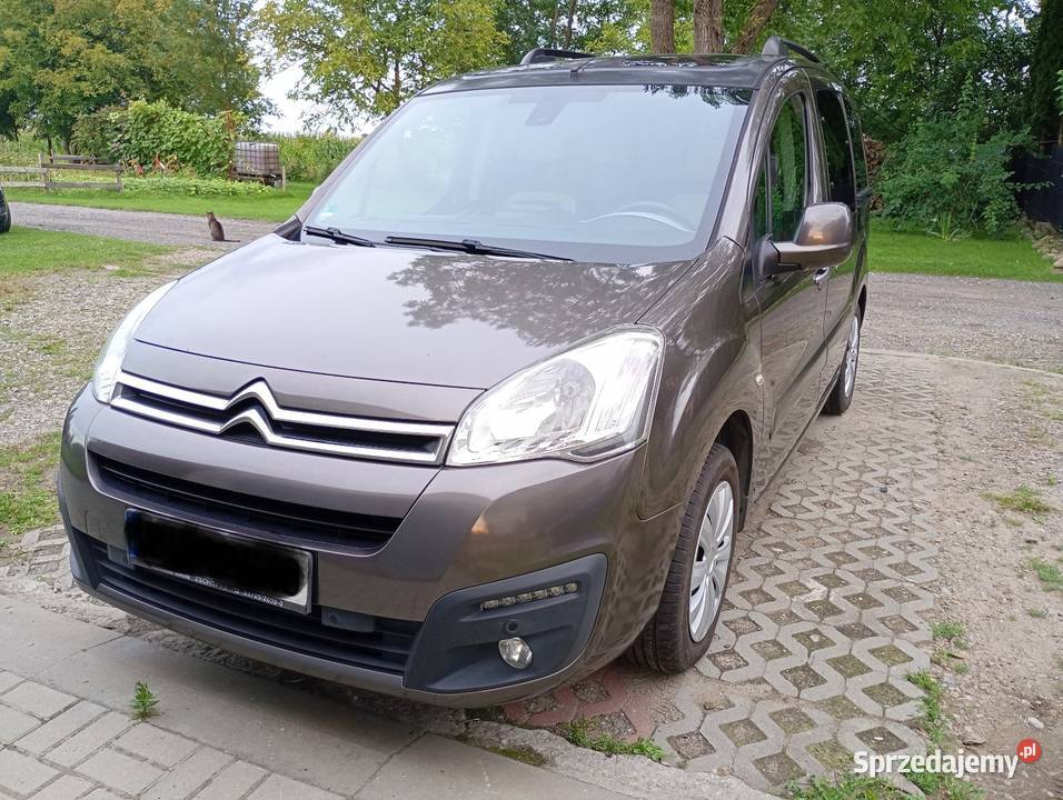 Citroen Berlingo Multispace 16 Benzyna 2015 podkarpackie Przeworsk sprzedam