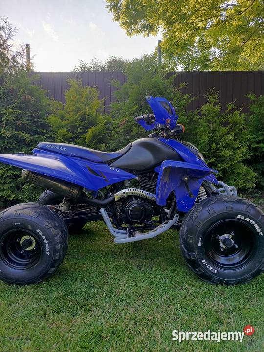 Shineray stxe 250