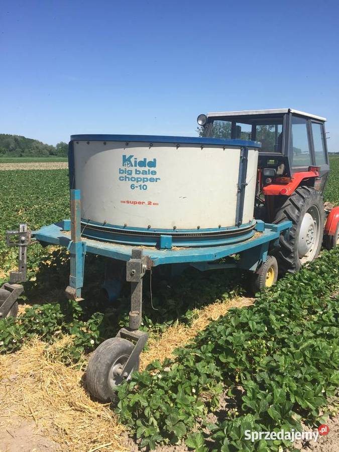 Ścielarka słomy do truskawek firmy Kidd Radzikowo Scalone