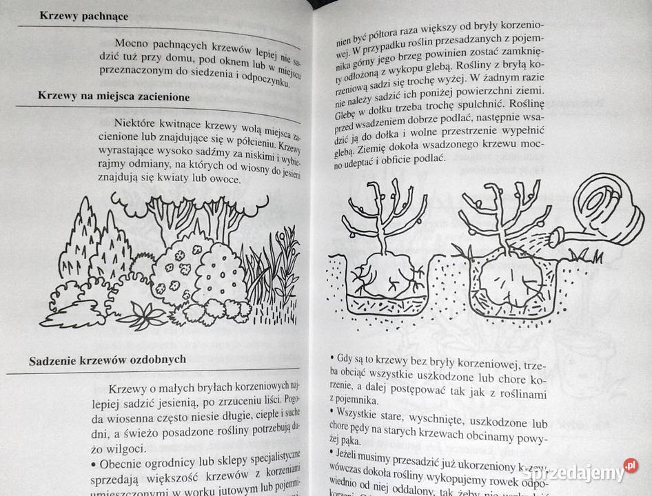 499 porad miłośników ogrodów Elisabeth Ebner Chełm sprzedam