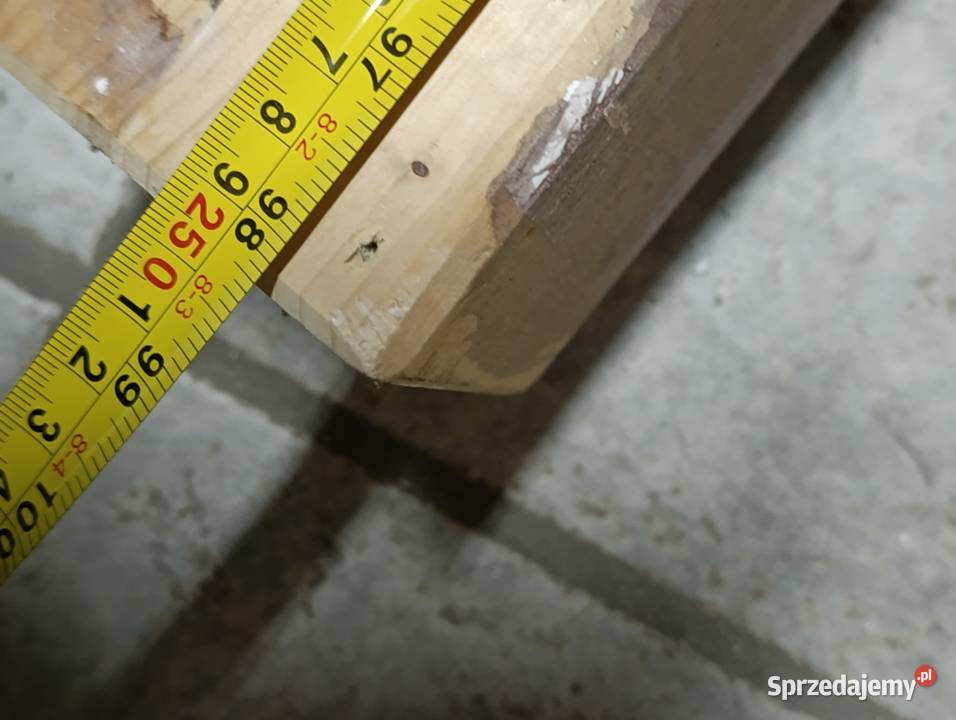 belka belki sprzedam 3 sztuki wielkopolskie Poznań
