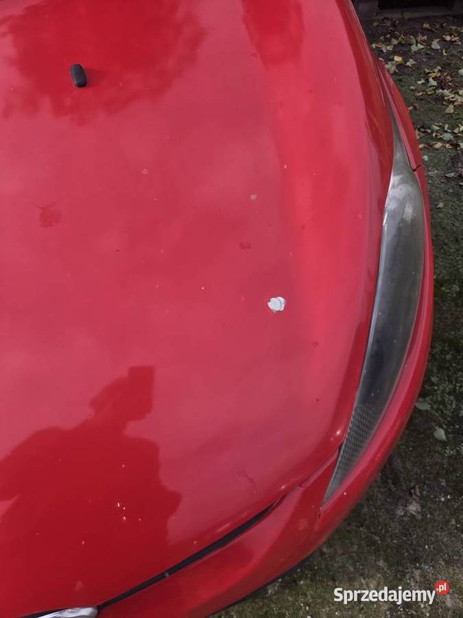 Ford fiesta Dyszno