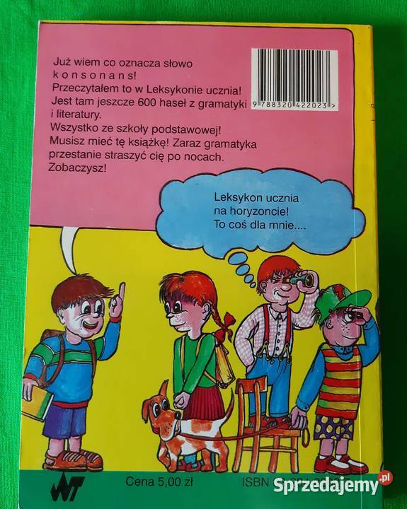 Ewa Romkowska Leksykon ucznia język polski kompendium, repetytorium, opracowanie