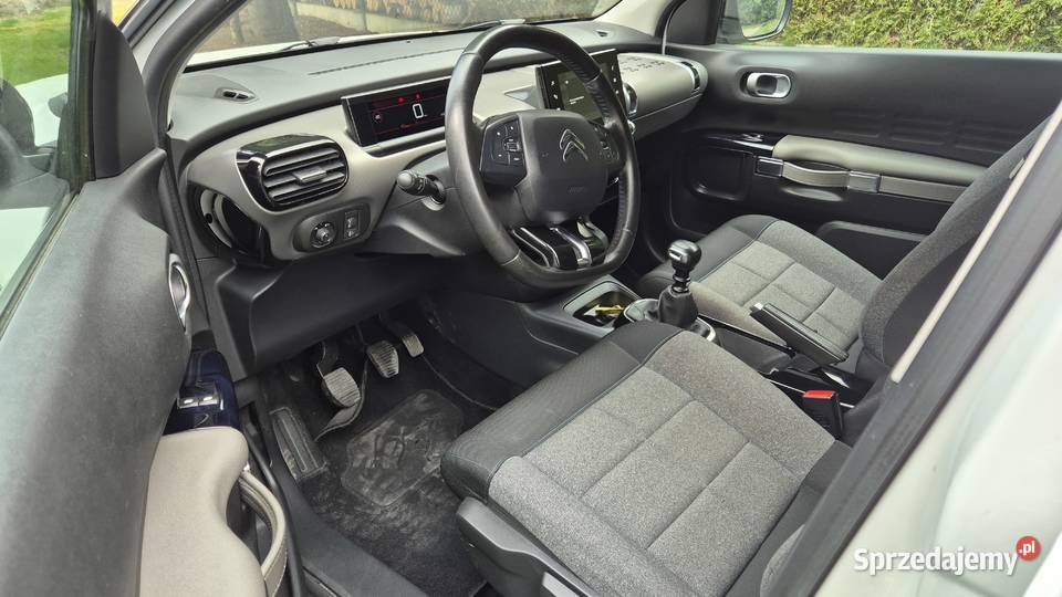 C4 CACTUS 12 110 OPŁACONY C4 Cactus Rzeszów